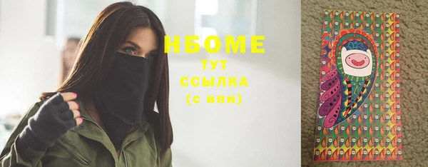 индика Армянск