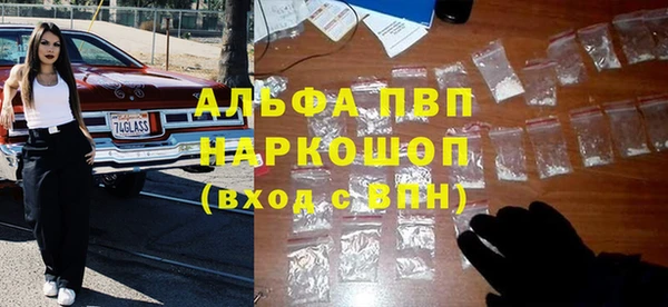 индика Армянск