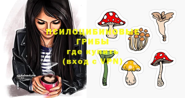 индика Армянск